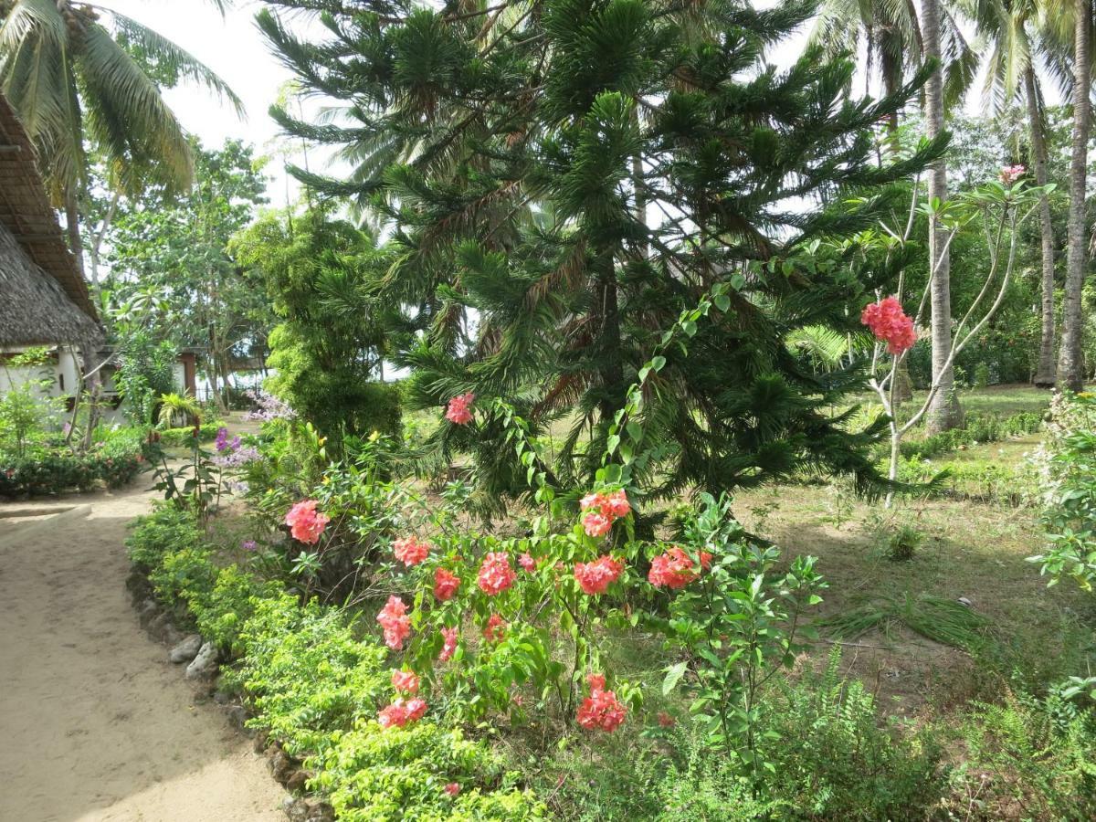 Sugar Lounge Lodge Nauhang ภายนอก รูปภาพ